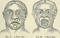 Picture 234 of 255 from Physiognomy illustrated; or, nature's revelations of character. A description of the mental, moral, and volitive dispositions of mankind, as manifested in the human form and countenance (1887), leaf 546