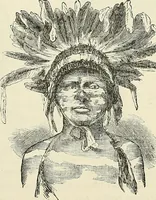 Picture 243 of 255 from Physiognomy illustrated; or, nature's revelations of character. A description of the mental, moral, and volitive dispositions of mankind, as manifested in the human form and countenance (1887), leaf 558