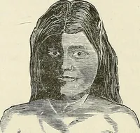 Picture 245 of 255 from Physiognomy illustrated; or, nature's revelations of character. A description of the mental, moral, and volitive dispositions of mankind, as manifested in the human form and countenance (1887), leaf 560