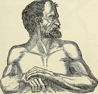Picture 12 of 255 from Physiognomy illustrated; or, nature's revelations of character. A description of the mental, moral, and volitive dispositions of mankind, as manifested in the human form and countenance (1887), leaf 90