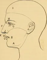 Picture 47 of 49 from Physiognomy. A practical and scientific treatise (1881), leaf 166