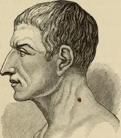Picture 35 of 48 from Physiognomy : A practical and scientific treatise. Being a manual of instruction in the knowledge of the human physiognomy and organism, considered chemically, architecturally, and mathematically; embracing the discoveries of located traits, with their relative organs and signs of character, together with the three grand natural divisions of the human face (1881), leaf 106