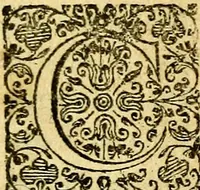 An illustration from Pia desideria authore Hermanno Hugone (1628)