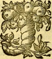 An illustration from Pia desideria : emblematis elegiis & affectibus SS. Patrvm illustrata (1624)