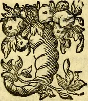 An illustration from Pia desideria : emblematis elegiis & affectibus SS. Patrvm illustrata (1624)