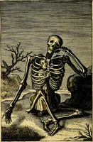An illustration from Pia desideria : emblematis elegiis & affectibus SS. Patrvm illustrata (1624)