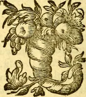 An illustration from Pia desideria : emblematis elegiis & affectibus SS. Patrvm illustrata (1624)