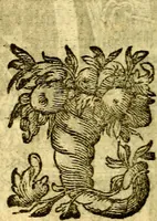 An illustration from Pia desideria : emblematis elegiis & affectibus SS. Patrvm illustrata (1624)