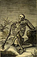 Picture 50 of 57 from Pia desideria. : lib. iii. ad Urbanum VIII. (1632), leaf 393