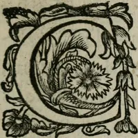 An illustration from Pia desideria. : Lib. iii. ad Vrbanvm VIII. (1632)