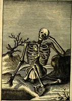 Picture 40 of 47 from Pia desideria: or, Divine addresses, : in three books. Illustrated with XLVII. copper-plates. (1686), leaf 237