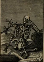 Picture 40 of 47 from Pia desideria: or, divine addresses : in three books. Illustrated with XLVII. copper-plates (1690), leaf 207