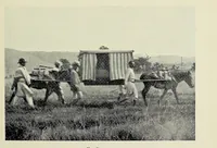 An illustration from A picnic party in wildest Africa : being a sketch of a winter's trip to some of the unknown waters of the upper Nile (1907)
