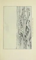An illustration from A picnic party in wildest Africa : being a sketch of a winter's trip to some of the unknown waters of the upper Nile (1907)