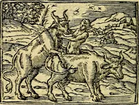 An illustration from Picta poesis : ut pictura poesis erit (1552)