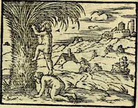 Picture 121 of 149 from Picta poesis : ut pictura poesis erit (1552), leaf 104
