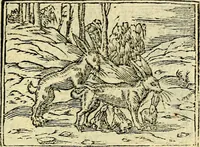 An illustration from Picta poesis : ut pictura poesis erit (1552)