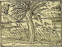 An illustration from Picta poesis : ut pictura poesis erit (1552)