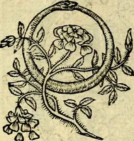 An illustration from Picta poesis : ut pictura poesis erit (1552)