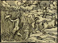 An illustration from Picta poesis : ut pictura poesis erit (1552)