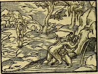 Picture 39 of 149 from Picta poesis : ut pictura poesis erit (1552), leaf 41
