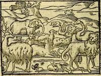 An illustration from Picta poesis : ut pictura poesis erit (1552)