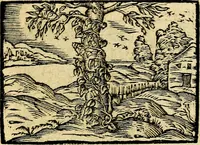 An illustration from Picta poesis : ut pictura poesis erit (1552)