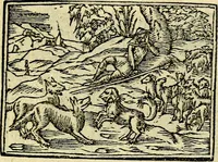 An illustration from Picta poesis : ut pictura poesis erit (1552)