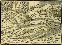 Picture 96 of 149 from Picta poesis : ut pictura poesis erit (1552), leaf 83