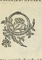Picture 2 of 31 from Picta poesis : vt pictvra poesis erit (1552), leaf 21
