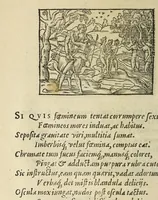 Picture 7 of 31 from Picta poesis : vt pictvra poesis erit (1552), leaf 42
