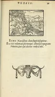 Picture 16 of 31 from Picta poesis : vt pictvra poesis erit (1552), leaf 71