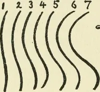 An illustration from Pictorial composition and the critical judgment of pictures; a handbook for students and lovers of art (1903)