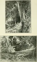 An illustration from Pictorial composition and the critical judgment of pictures; a handbook for students and lovers of art (1903)