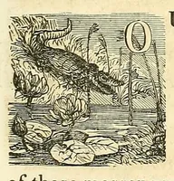 An illustration from Pictorial life of Andrew Jackson (1847)
