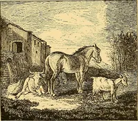An illustration from Pictorial notes in the National Gallery (1877)