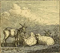 An illustration from Pictorial notes in the National Gallery (1877)