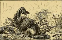 An illustration from Pictorial notes in the National Gallery (1877)