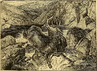 An illustration from Pictorial notes in the National Gallery (1877)