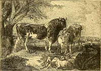 An illustration from Pictorial notes in the National Gallery (1877)