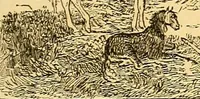 An illustration from Pictorial notes in the National Gallery (1877)