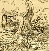 An illustration from Pictorial notes in the National Gallery (1877)