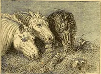 An illustration from Pictorial notes in the National Gallery (1877)