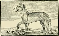 An illustration from The pictorial press: its origin and progress (1885)