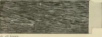 Picture 16 of 221 from Picture frame mouldings, room mouldings, framed pictures, trays, lamps, imported novelties and specialties for the furniture trade, mirrors, picture hardware, fine gold gilding, portrait frames, artist materials and mat boards / Walter L. Lillie. (1913), leaf 21