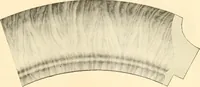 Picture 165 of 221 from Picture frame mouldings, room mouldings, framed pictures, trays, lamps, imported novelties and specialties for the furniture trade, mirrors, picture hardware, fine gold gilding, portrait frames, artist materials and mat boards / Walter L. Lillie. (1913), leaf 90