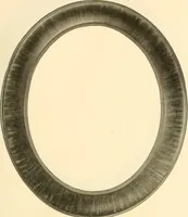 Picture 175 of 221 from Picture frame mouldings, room mouldings, framed pictures, trays, lamps, imported novelties and specialties for the furniture trade, mirrors, picture hardware, fine gold gilding, portrait frames, artist materials and mat boards / Walter L. Lillie. (1913), leaf 96