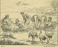 An illustration from Pictures at South Kensington : the Raphael cartoons, the Sheepshanks collection, &c. (1877)