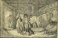 An illustration from Pictures at South Kensington : the Raphael cartoons, the Sheepshanks collection, &c. (1877)