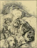 An illustration from Pictures at South Kensington : the Raphael cartoons, the Sheepshanks collection, &c. (1877)